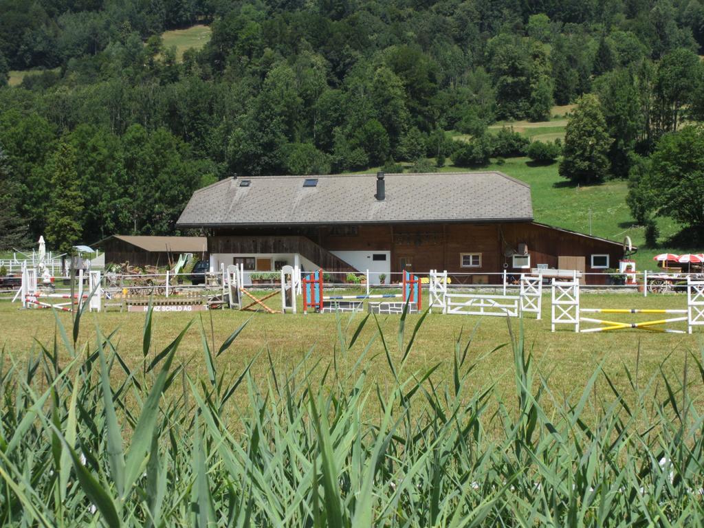 Villa Eichhof Brienzwiler Exterior foto